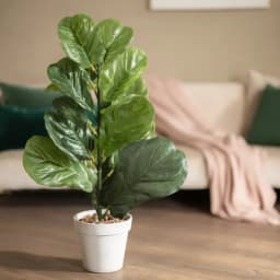 Artificial Plant Plastic - Green Fiddle Leaf Fig - view 1
