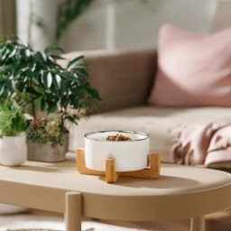 Porcelain Serving Bowl with Wood Stand - White - view 4