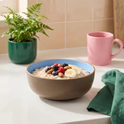 Melamine Bowl Brown with Blue Interior - view 1