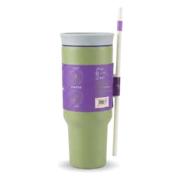 Light green stainless steel tumbler with a light grey 2-in-1 lid and a white straw, featuring purple accents. - view 2