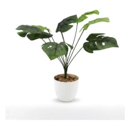 Artificial Monstera Plant White Plastic Pot - view 2