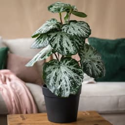 Artificial Potted Plant - Green & Silver Plastic Leaves - view 1
