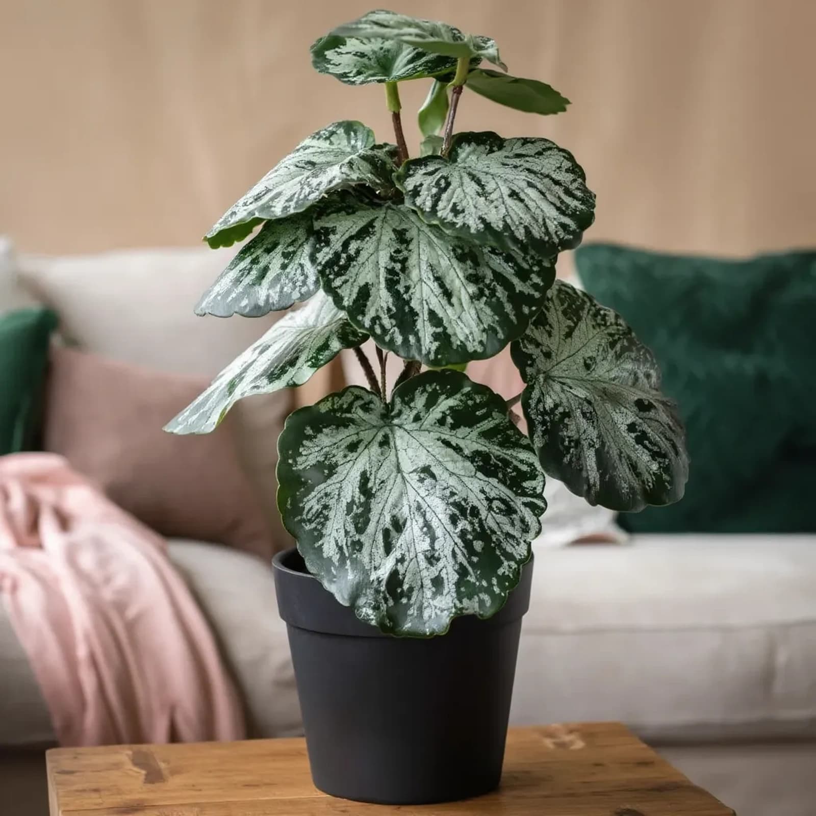 Artificial Potted Plant - Green & Silver Plastic Leaves