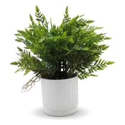 Artificial Fern Plant in White Plastic Pot - view 2