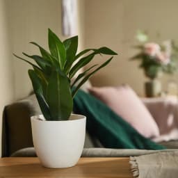 Artificial Plant with Green Leaves in White Plastic Pot - view 2