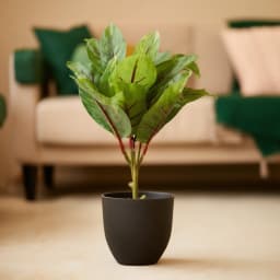 Artificial Plant in Black Plastic Pot - Green Leaves - view 1