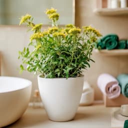 Artificial Plant in White Plastic Pot - Green - view 3