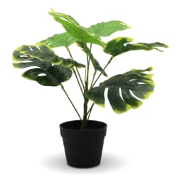 Artificial Monstera Plant in Black Pot - Green & Yellow - view 2