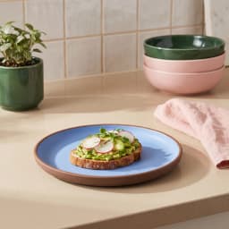 Melamine Dinner Plate - Blue & Brown - view 1