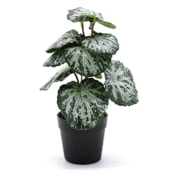 Artificial Potted Plant - Green & Silver Plastic Leaves - view 2