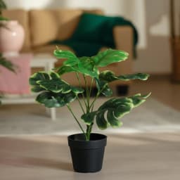 Artificial Monstera Plant in Black Pot - Green & Yellow - view 1
