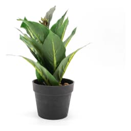 Artificial Plant in Black Pot - Green Leaves - view 2